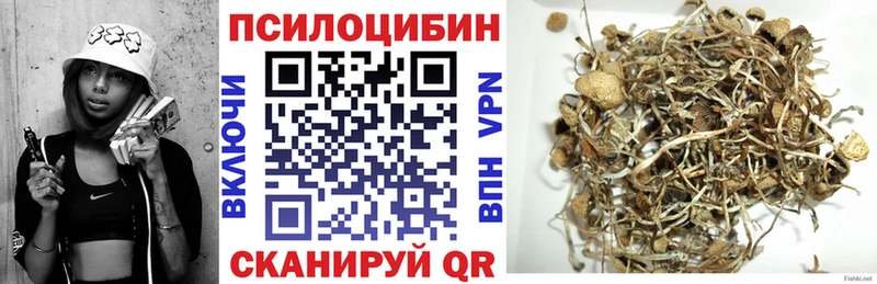 Галлюциногенные грибы Psilocybe Приволжский