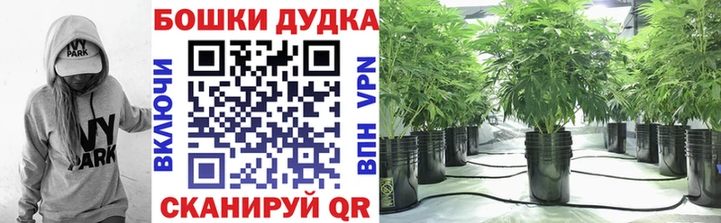 blacksprut вход Приволжский Шишки марихуана Amnesia
